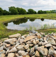 Vzniknou další tůně, mokřady, remízky či stromořadí – MŽP uvolňuje 330 milionů na zadržení vody v krajině a více zeleně v obcích